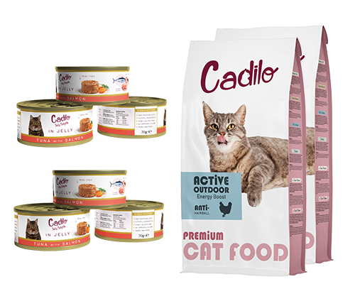 packshot